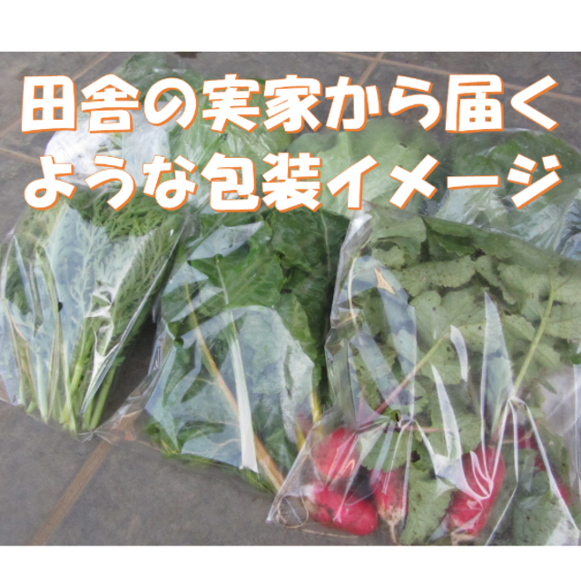 すっかり春だね　春野菜詰め合わせ　７０サイズ　４月２４日～２５日発送 食品/飲料/酒の食品(野菜)の商品写真