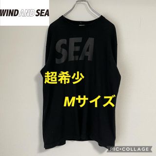 ロンハーマン(Ron Herman)の超希少！浅野忠信着用！初期モデル！wind and  sea オールブラック(Tシャツ/カットソー(七分/長袖))