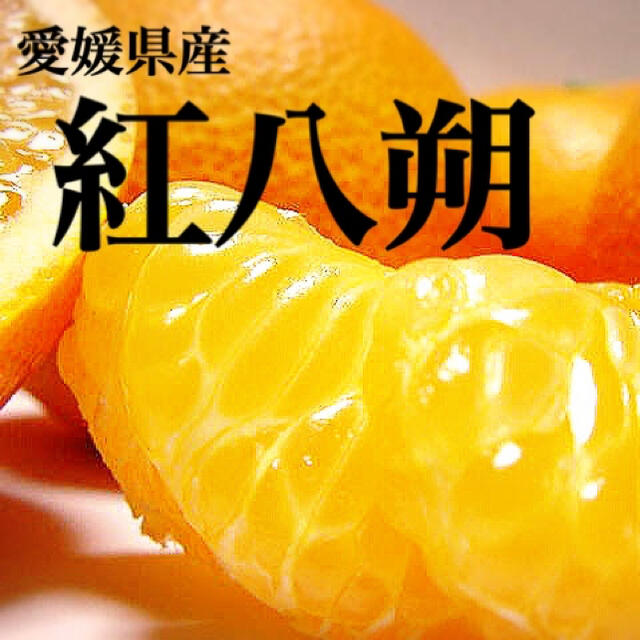 八朔より甘くてジューシー！愛媛県産【紅八朔】秀品4L(約20玉)10kg残り僅か 食品/飲料/酒の食品(フルーツ)の商品写真