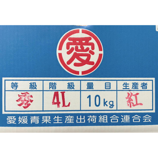 八朔より甘くてジューシー！愛媛県産【紅八朔】秀品4L(約20玉)10kg残り僅か 食品/飲料/酒の食品(フルーツ)の商品写真