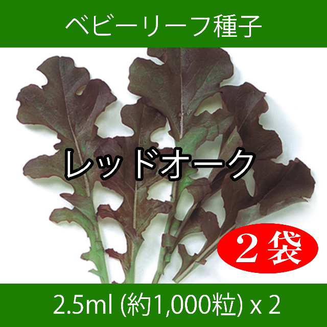 ベビーリーフ種子 B-02 レッドオーク 2.5ml 約1,000粒 x 2袋 食品/飲料/酒の食品(野菜)の商品写真