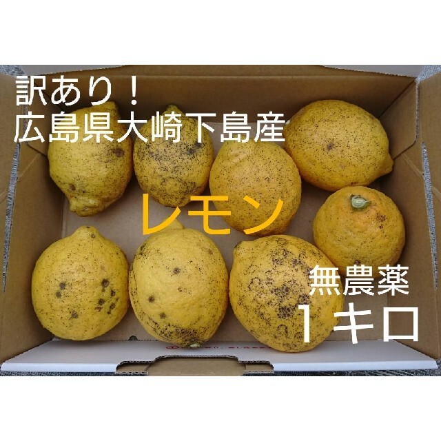 ナオ様専用【訳あり】無農薬！広島県大崎下島産 特別栽培レモン1キロ 食品/飲料/酒の食品(フルーツ)の商品写真