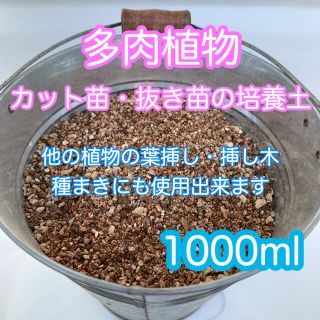 多肉植物の土 サボテンの土 多肉植物用土 葉挿し種まき(その他)