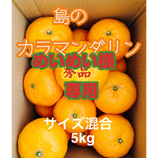 めいめい様専用　みかん　春の高級柑橘　島のカラマンダリン　贈答用5kg 食品/飲料/酒の食品(フルーツ)の商品写真