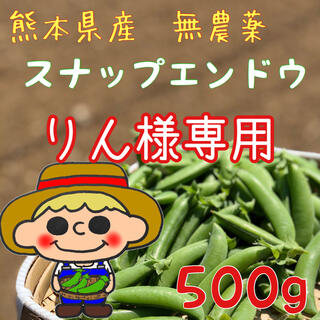 【りん様専用】熊本県産　スナップエンドウ　500g(野菜)