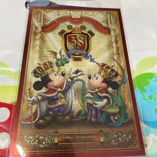 ディズニー(Disney)の東京ディズニーランド 38周年 キングダムトレジャー ポストカード(キャラクターグッズ)