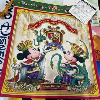 ディズニー(Disney)の東京ディズニーランド 38周年 キングダムトレジャー 巾着袋(キャラクターグッズ)