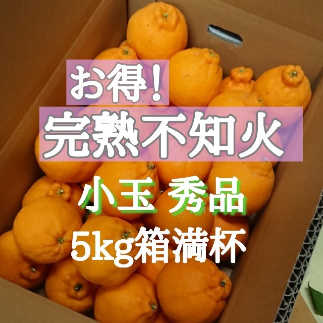 お得！完熟不知火 小玉秀品 5kg箱満杯 食品/飲料/酒の食品(フルーツ)の商品写真