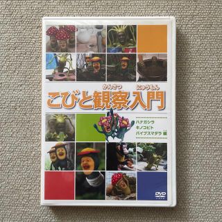 こびと観察入門　ハナガシラ　キノコビト　バイブスマダラ編 DVD(アニメ)