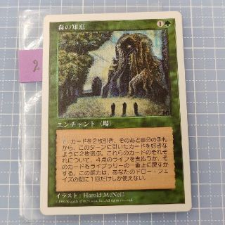 マジックザギャザリング(マジック：ザ・ギャザリング)のMTG 森の知恵日本語版2(シングルカード)