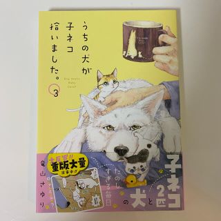 うちの犬が子ネコ拾いました。 ３(少女漫画)