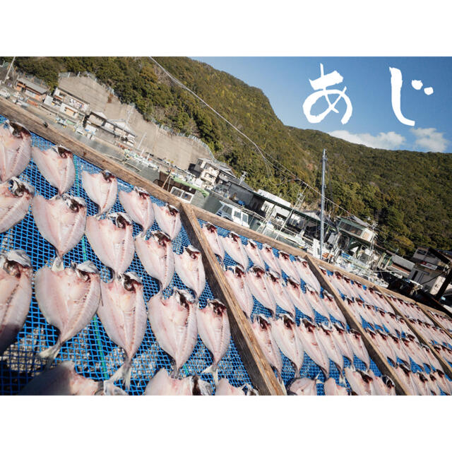 味の素(アジノモト)の干物セット、4種 食品/飲料/酒の食品(魚介)の商品写真