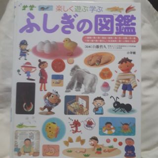 ショウガクカン(小学館)の【カバーなし】ふしぎの図鑑(絵本/児童書)