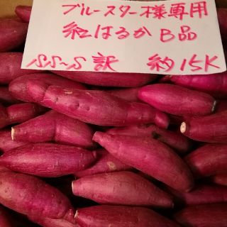 ブルースター様専用　超お得!!訳☆オーダー☆甘い貯蔵品紅はるかB品約15Kです。(野菜)