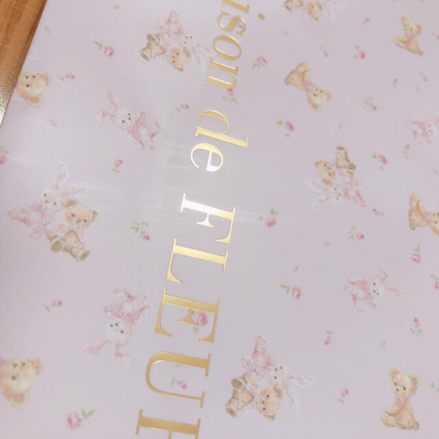 evelyn(エブリン)の♡まとめ売り♡ ブランドショッパー ショップ袋 レディースのバッグ(ショップ袋)の商品写真