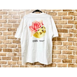 ヒステリックグラマー(HYSTERIC GLAMOUR)の新品 未使用 タグ付 アンダーカバー ヒステリックグラマー 限定コラボT 激レア(Tシャツ/カットソー(半袖/袖なし))