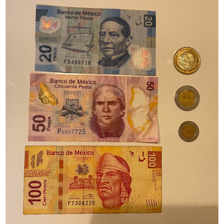 メキシコ ペソ　貨幣・硬貨(貨幣)