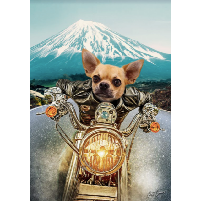 激安通販新作 たんたん様 確認用 犬 Grupotroca Com Br 激安通販新作 たんたん様 確認用 犬 Grupotroca Com Br