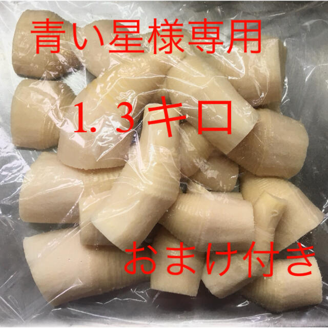 筍 たけのこ タケノコ 竹の子 水煮 1.3キロ 青い星様専用 www.lewaa.sa