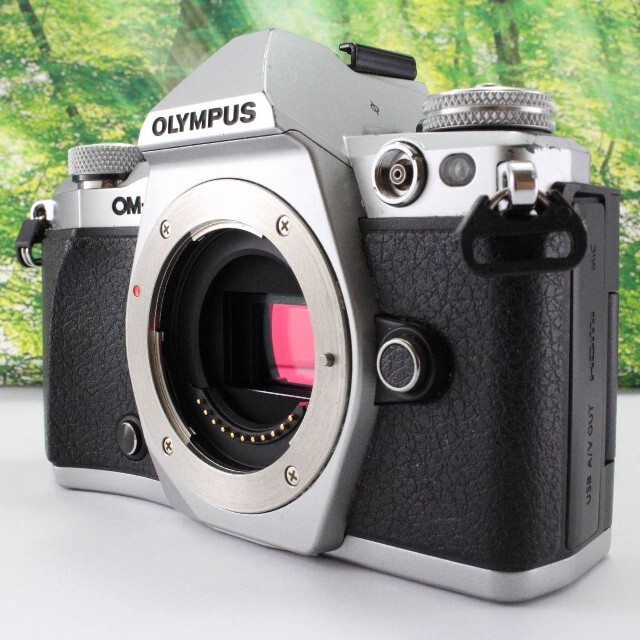 OLYMPUS ミラーレス一眼 OM-D E-M5 MarkII ボディー