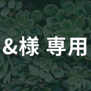 &様 専用(その他)