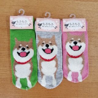 もふもふあにまるソックス　柴犬(ソックス)