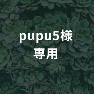 pupu5様専用(その他)