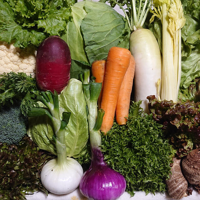 無農薬野菜セット　10品　80サイズ満杯 食品/飲料/酒の食品(野菜)の商品写真