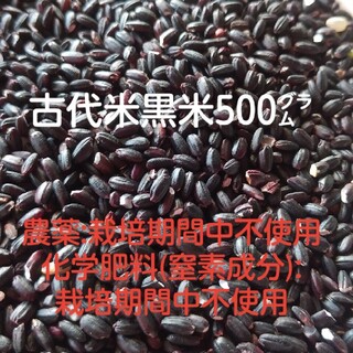 古代米黒米500g(米/穀物)