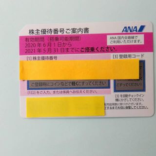 エーエヌエー(ゼンニッポンクウユ)(ANA(全日本空輸))のANA株主優待券　1枚(その他)