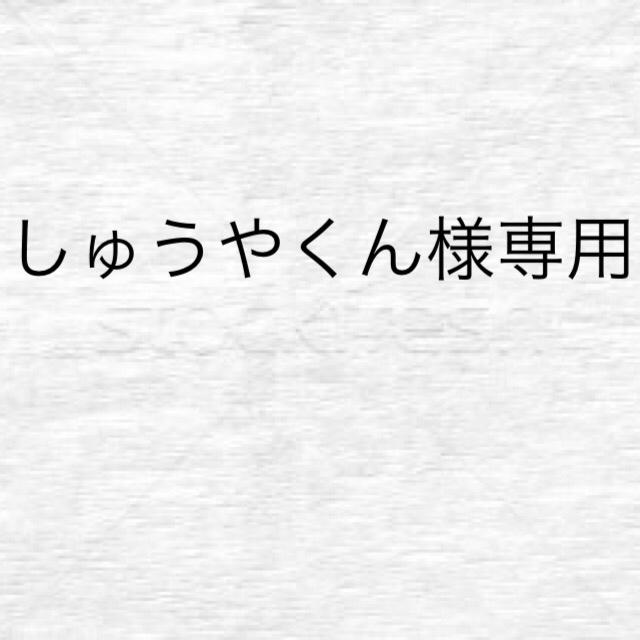 しゅうやくん様専用 あり その他のその他(その他)の商品写真