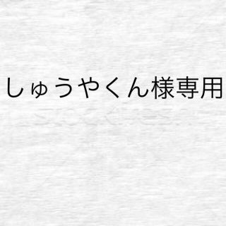 しゅうやくん様専用 あり(その他)