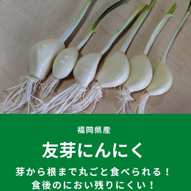 友芽にんにく【osaka様専用】 食品/飲料/酒の食品(野菜)の商品写真