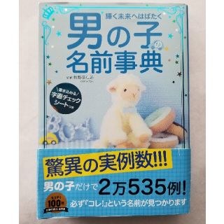 シュフトセイカツシャ(主婦と生活社)の男の子の名前事典 輝く未来へはばたく(結婚/出産/子育て)