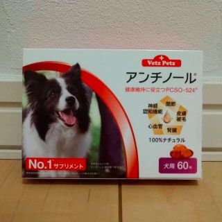 犬が高値で売れる 買取よりお得に犬を売るなら フリマアプリラクマ 犬が高値で売れる 買取よりお得に犬を売るなら フリマアプリラクマ