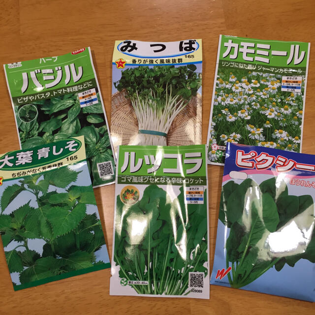 野菜の種 6種類 ベランダ菜園 食品/飲料/酒の食品(野菜)の商品写真