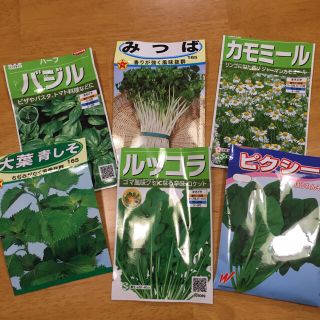 野菜の種 6種類 ベランダ菜園(野菜)