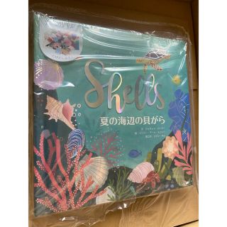 まるこ様専用　Shells 夏の海辺の貝がら(絵本/児童書)