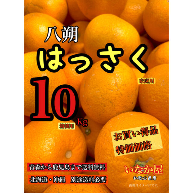 八朔　家庭用　セール　早い者勝ち　特価価格　残り2点 食品/飲料/酒の食品(フルーツ)の商品写真