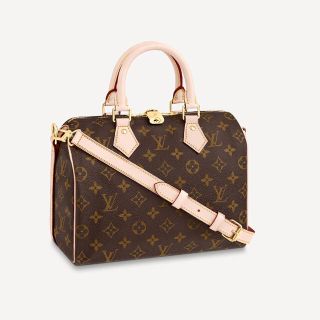 ルイヴィトン(LOUIS VUITTON)のブランドバッグ(ハンドバッグ)