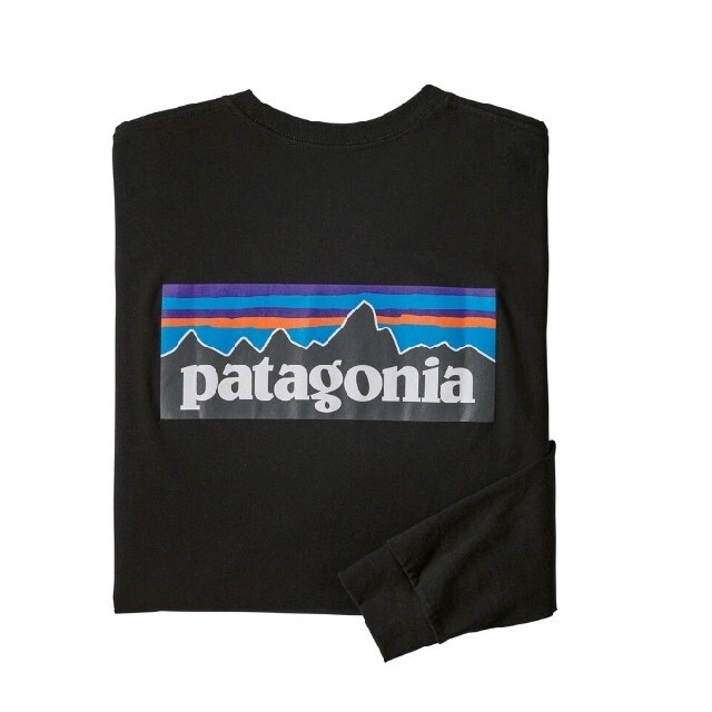 Lサイズパタゴニア ロングスリーブ　tシャツ  P-6ロゴ レスポンシビリティー