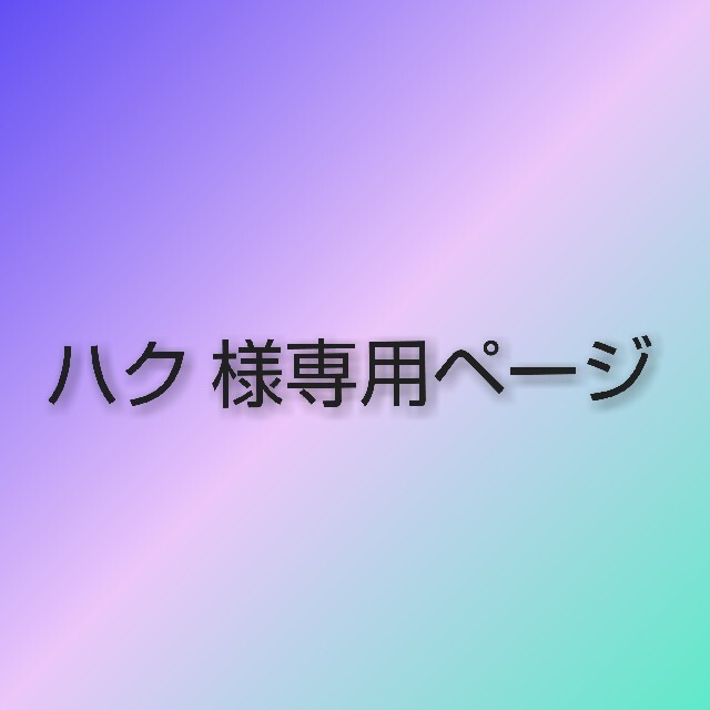 ハク 様専用ページ 値引き www.gold-and-wood.com