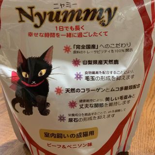 ☆ニャミー　キャットフード☆(ペットフード)