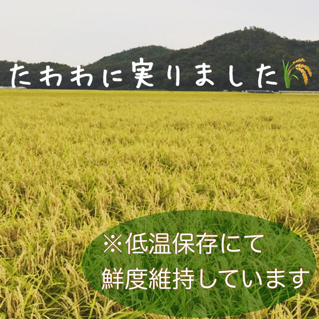 兵庫県産キヌヒカリひのひかり☆農家のお米　各10kg　米/穀物