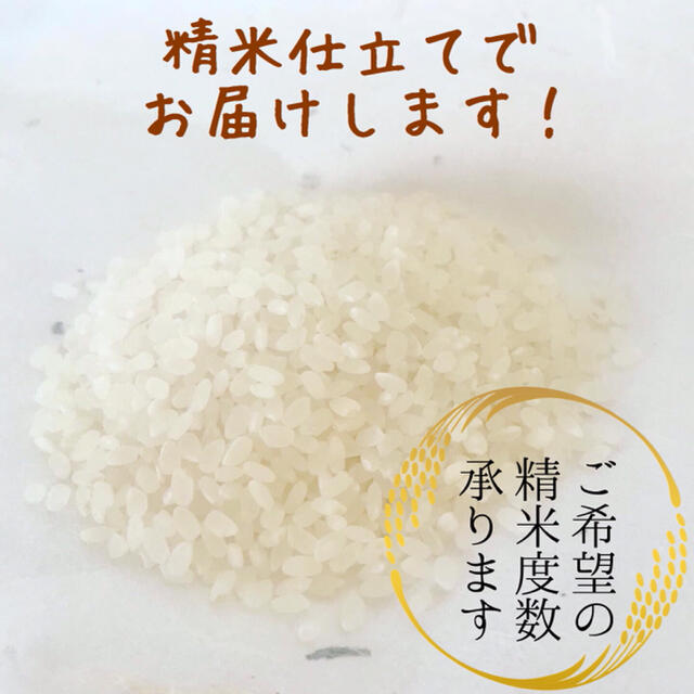 兵庫県産キヌヒカリひのひかり☆農家のお米　各10kg
