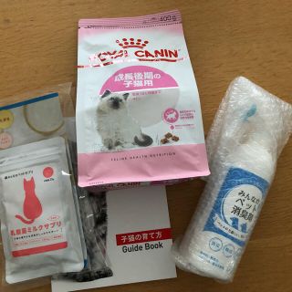 ロイヤルカナン(ROYAL CANIN)のロイヤルカナン子猫セット(ペットフード)