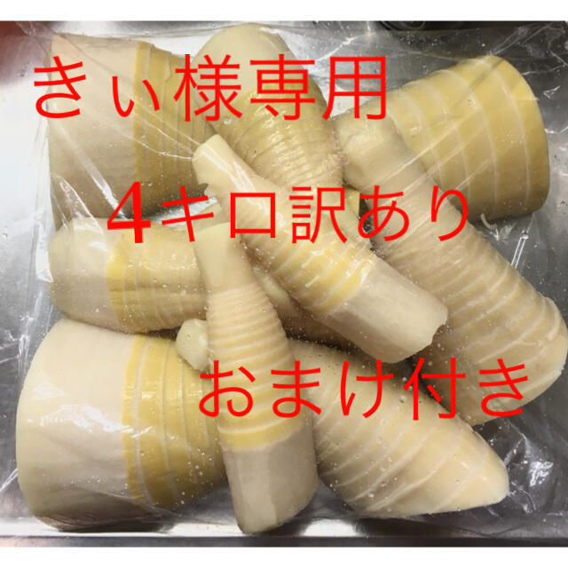 筍 たけのこ タケノコ 竹の子 水煮 訳あり4キロ きぃ様専用の通販 by