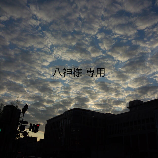 八神様 専用の通販 by shop|ラクマ