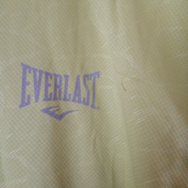 EVERLAST(エバーラスト)のメンズ　大きいサイズ　長袖シャツ　 メンズのトップス(シャツ)の商品写真