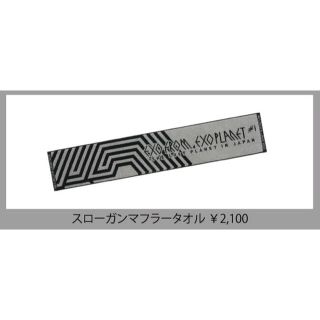 エクソ(EXO)のEXO FROM EXO PLANET #1 スローガンマフラータオル(アイドルグッズ)